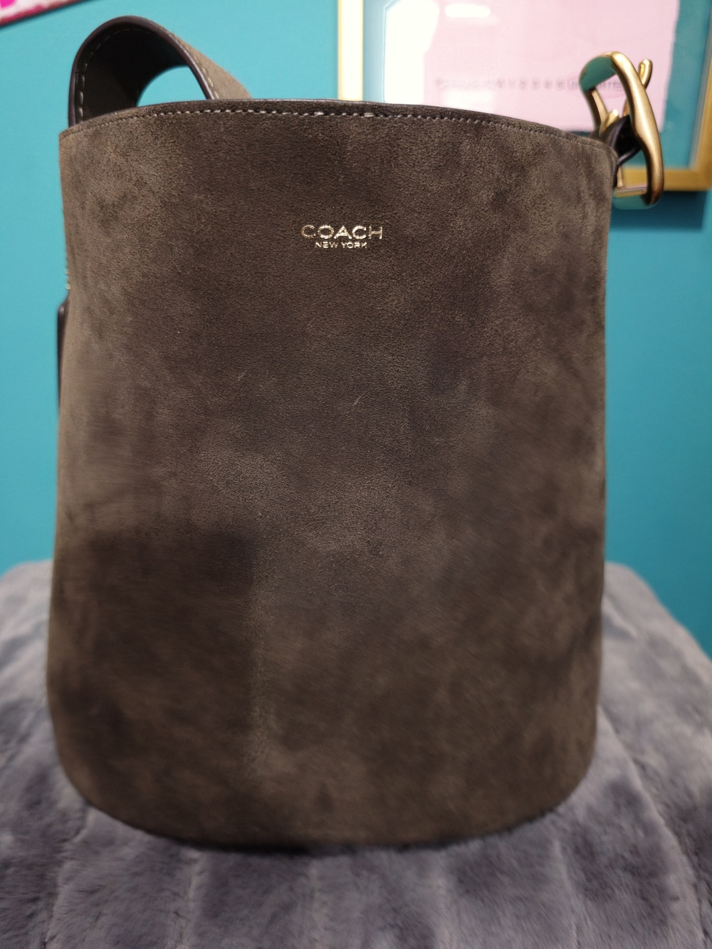 COACH Bleecker Suede Bucket Bag in Olive